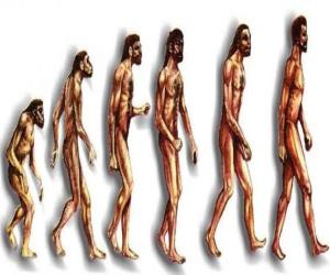 Puzzle Αλληλουχία της ανθρώπινης εξέλιξης από Australopithecus Λούσι στο σύγχρονο άνθρωπο που διέρχεται μεταξύ άλλων, από άνδρες της Χαϊδελβέργης, το Πεκίνο, Νεάντερταλ και cromagnon
